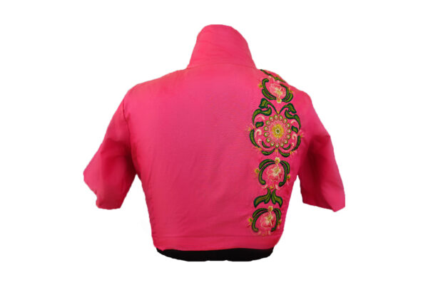 Collar Neck Designer Blouse